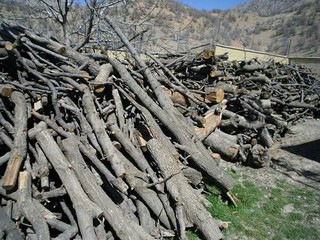 بیش از ۱ تن چوب جنگلی قاچاق در شهرستان کیار کشف شد
