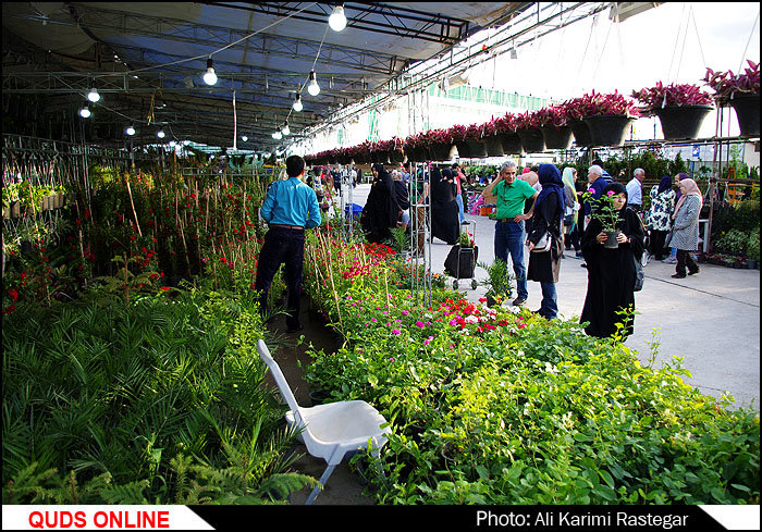۳۰۰ شرکت داخلی و خارجی در نمایشگاه گل و گیاه مشهد