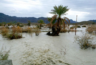 نیکشهر رکورددار بیشترین بارندگی ها در جنوب سیستان و بلوچستان است