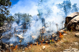 آتش سوزی جنگل های«خسرج» در حمیدیه مهار شد