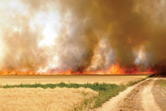 آتش به جان مزارع ایذه افتاد/ ۵۰ هکتار گندم در آتش سوخت
