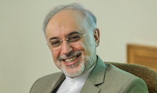 صالحی از حماسه آفرینی مردم ایران در انتخابات ۹۶ تقدیر کرد