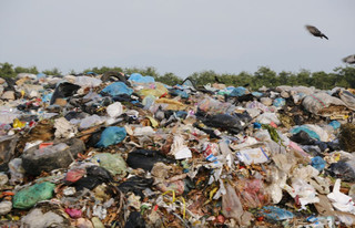 جایگاه موقت زباله در تالاب کیاکلایه لنگرود تعطیل شد