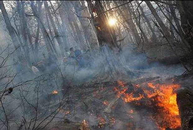 احتمال وقوع آتش‌سوزی در جنگل‌های گلستان