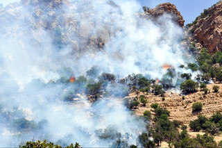 ۹۰۰میلیون تومان برای مقابله با آتش‌سوزی در جنگل‌های لرستان اختصاص یافت