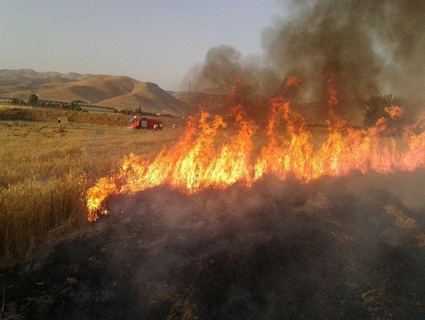 آتش سوزی گسترده مزارع کشاورزی موسیان دهلران را فرا گرفت