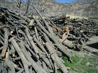 یک تن چوب جنگلی قاچاق در لردگان کشف شد