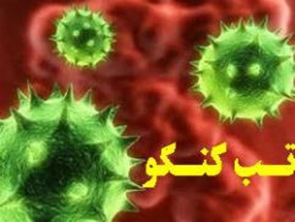 بیماری تب کنگو در زنجان مشاهده نشده است 