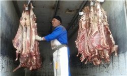 تنظیم بازار گوشت کلید خورد/عرضه روزانه ۱۰۰ تن گوشت گوسفندی به قیمت کیلویی ۳۳ هزار تومان