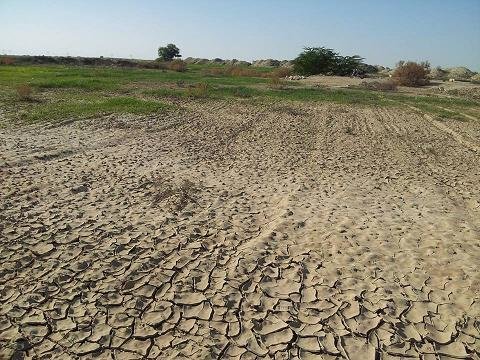 خشکسالی بسیار شدید در استان گلستان