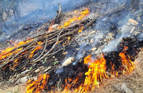 ۳۶۷ میلیارد تومان بر اثر آتش‌سوزی به جنگل‌های لرستان خسارت وارد شد