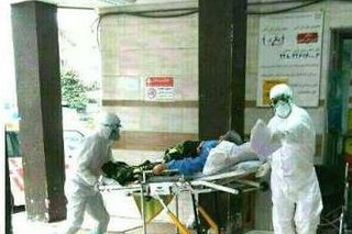 مبارزه با "تب کریمه کنگو" در ۵ استان تشدید شد
