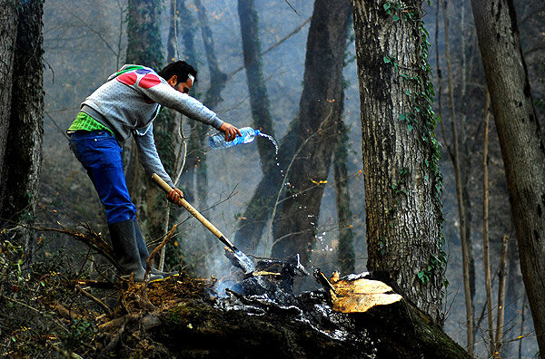 ۳۰ میلیارد تومان برای حراست از جنگل های گیلان اختصاص یافت