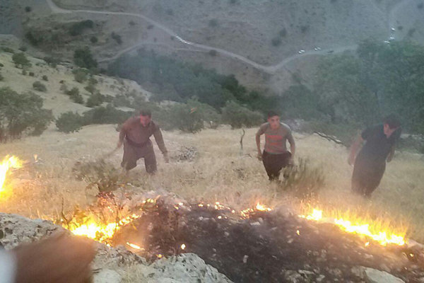 آتش جنگل های «هردریژ» استان ایلام را فرا گرفت