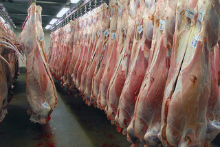 علت کمبود گوشت قرمز در قصابی های دزفول مشخص شد