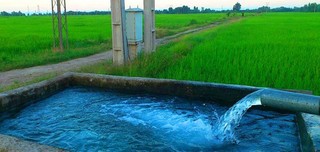 ۹۰ درصد آب کشور در بخش کشاورزی مصرف می شود