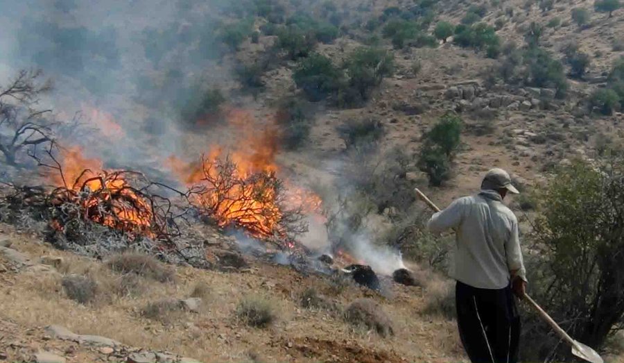 آتش به جان جنگل های سپیدار شهرستان«بویر احمد» افتاد