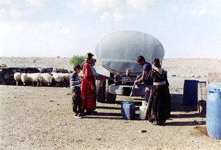 توزیع آب شرب بین ۹هزار خانوار عشایر در ایلام/ عشایر نقش مهمی در تولیدات دامی دارند