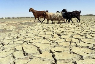 مدیریت خشکسالی، نیازمند سرمایه‌گذاری‌های کلان است
