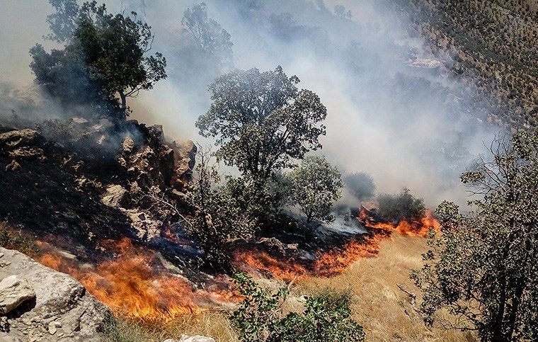 آتش سوزی جنگل‌های بلوط «مُنگره» اندیمشک
