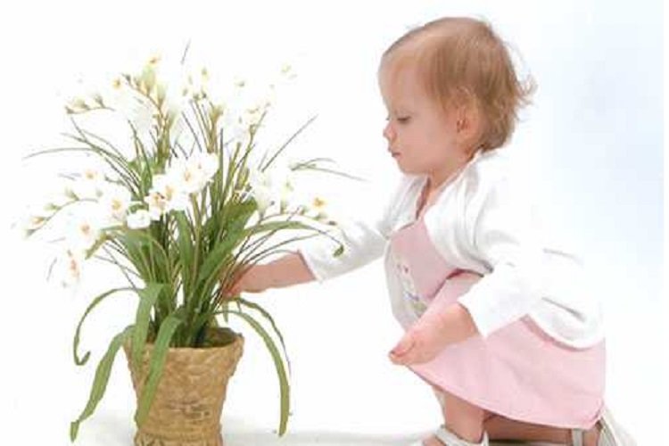 مسمومیت با گیاهان یکی از شایع ترین علل بروز مسمومیت های اتفاقی در کودکان