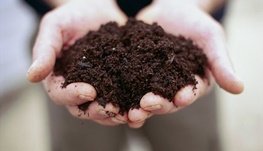 همایش "روز جهانی خاک" در کرج برگزار می‌شود