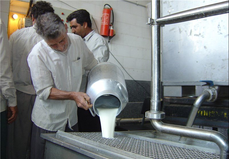 فروش شیر خام در واحدهای لبنیاتی اصفهان ممنوع است