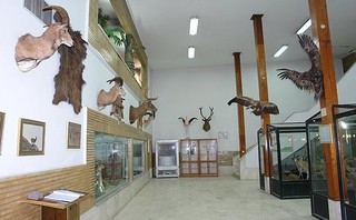۵۵۱ گونه گیاهی و جانوری در موزه طبیعی زنجان وجود دارد