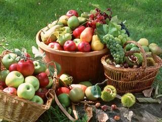 افزایش یک هزارتنی تولید میوه بهاره در چهارمحال و بختیاری