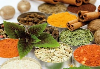 صادرات ۳۳ گونه گیاه دارویی ممنوع شد