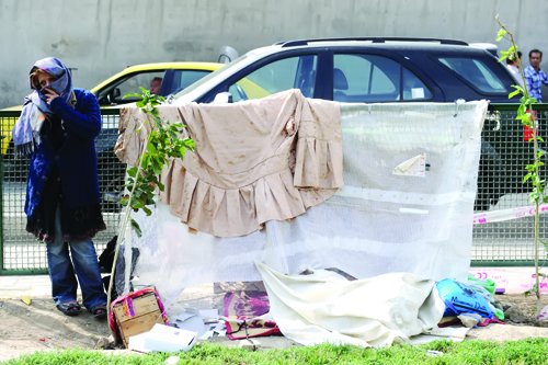 زنان معتاد کارتن خواب در قزوین ساماندهی می شوند
