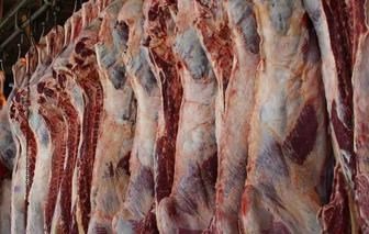 احتمال کاهش قیمت گوشت در اردیبهشت و خردادماه