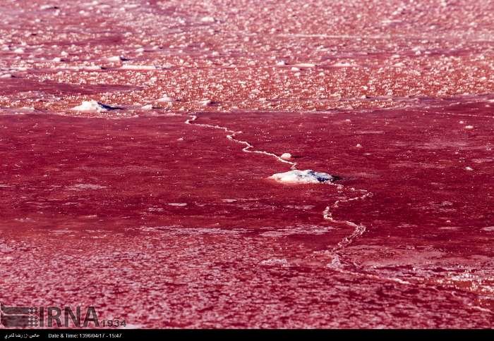 تصاویر/ دریاچه مهارلو قرمز شد
