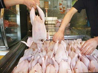 طرح نظارت بر بازار گوشت مرغ مشهد آغاز شد