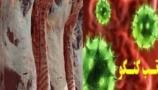 مردم شهرستان صالح آباد بیماری تب کریمه کنگو را جدی بگیرند