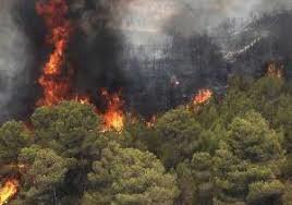۹۵۲ فقره آتش سوزی طی ۱۱ سال در جنگلها و مراتع استان کهگیلویه و بویراحمد رخ داد