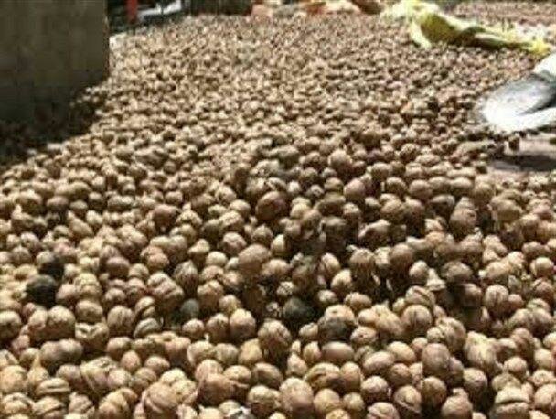 مواد خوراکی قاچاق در خرم آباد کشف شد