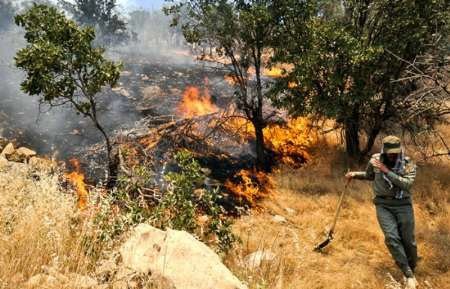 مهار آتش سوزی در جنگل های معمولان