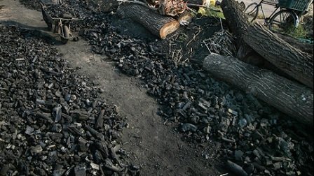 ۲ کوره زغال درختان بلوط در ممسنی کشف شد