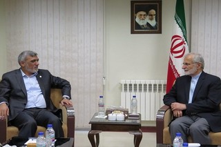 خرازی: حمایت از برادران فلسطینی در سرلوحه سیاست خارجی ایران است