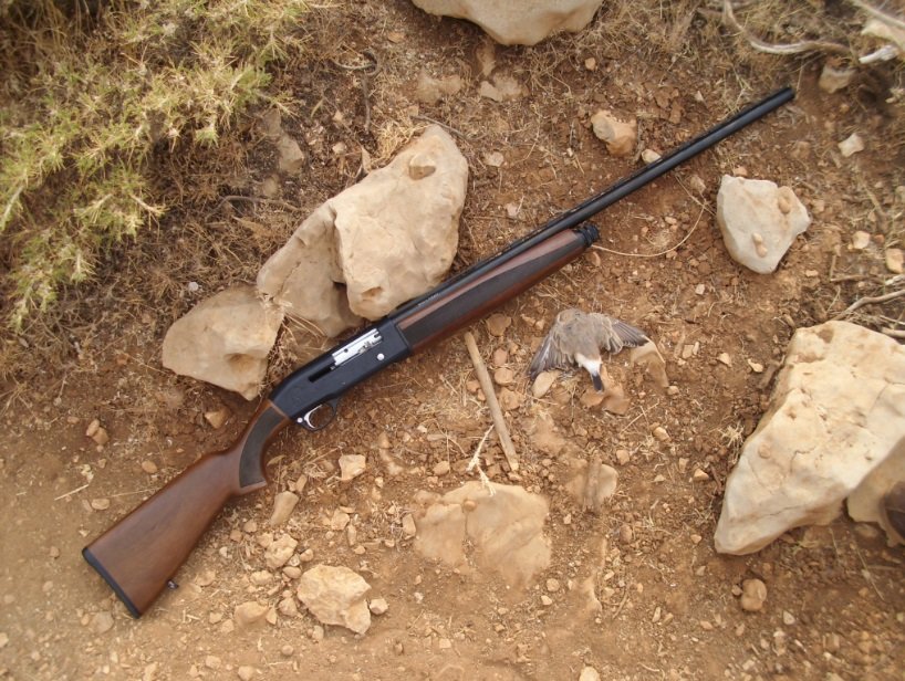 یک قبضه سلاح غیرمجاز در پارک ملی سالوک کشف شد