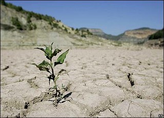 تابستان گرم و بحران جدی کم آبی