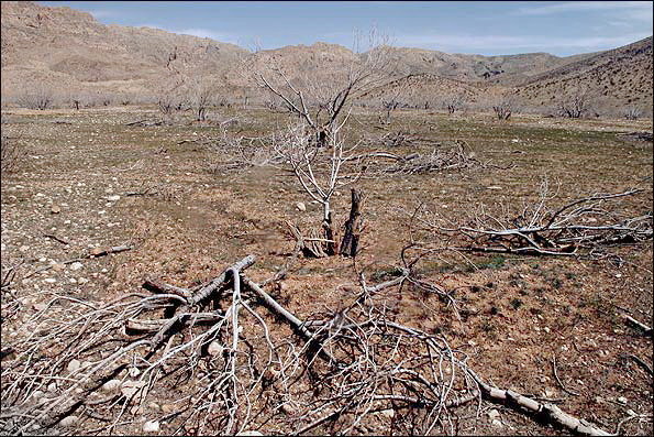 خشکسالی بسیار شدید در استان گلستان در مردادماه