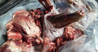 گوشت گراز وحشی از راننده گلستانی در شاهرود کشف شد