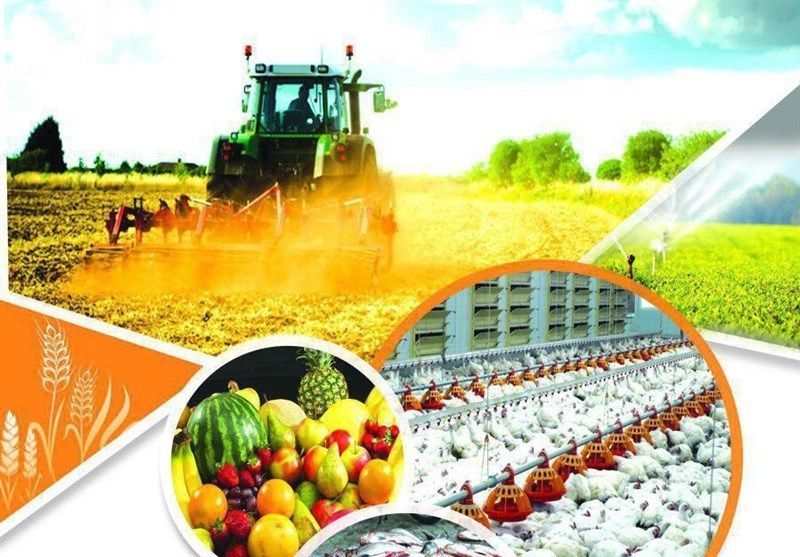۶۳ پروژه کشاورزی با اعتبار۷۴ میلیارد تومان در لرستان افتتاح می‌شود 