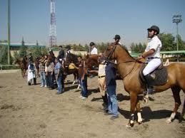 برگزاری نخستین رقابتهای سوارکاری کشوری «اسب راهوار» در گناباد 