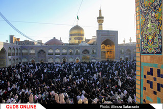 دعای عرفه در حرم مطهر رضوی/گزارش تصویری