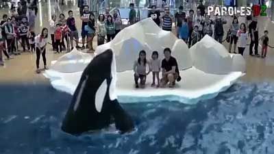 باغ وحش 7 بعدی در ژاپن