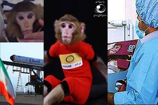 میمون های فضایی ایران بچه دار شدند