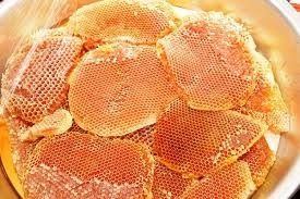 افزایش تولید عسل در تالش